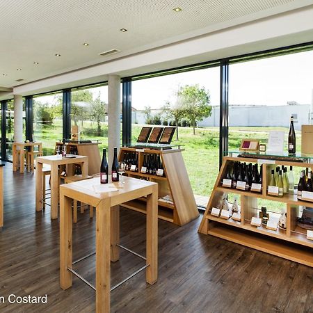 Meyerhof - Bioweingut, Vinothek & Gaestehaus 플론하임 외부 사진