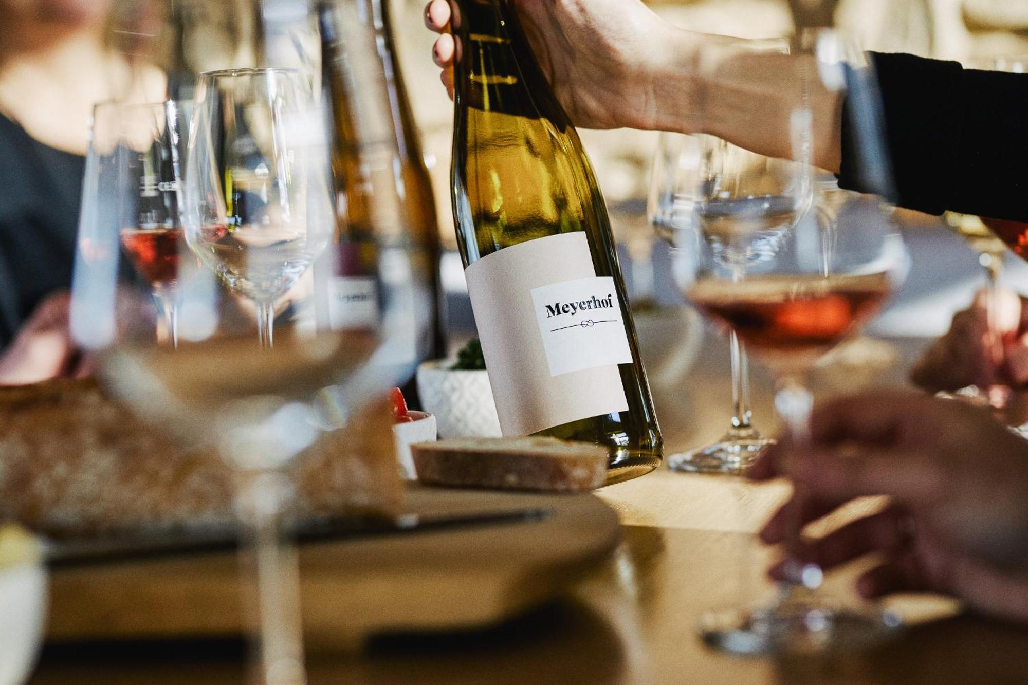 Meyerhof - Bioweingut, Vinothek & Gaestehaus 플론하임 외부 사진