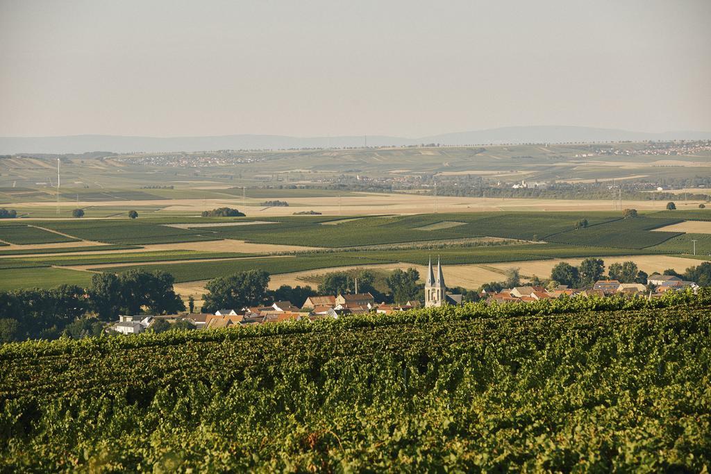 Meyerhof - Bioweingut, Vinothek & Gaestehaus 플론하임 외부 사진