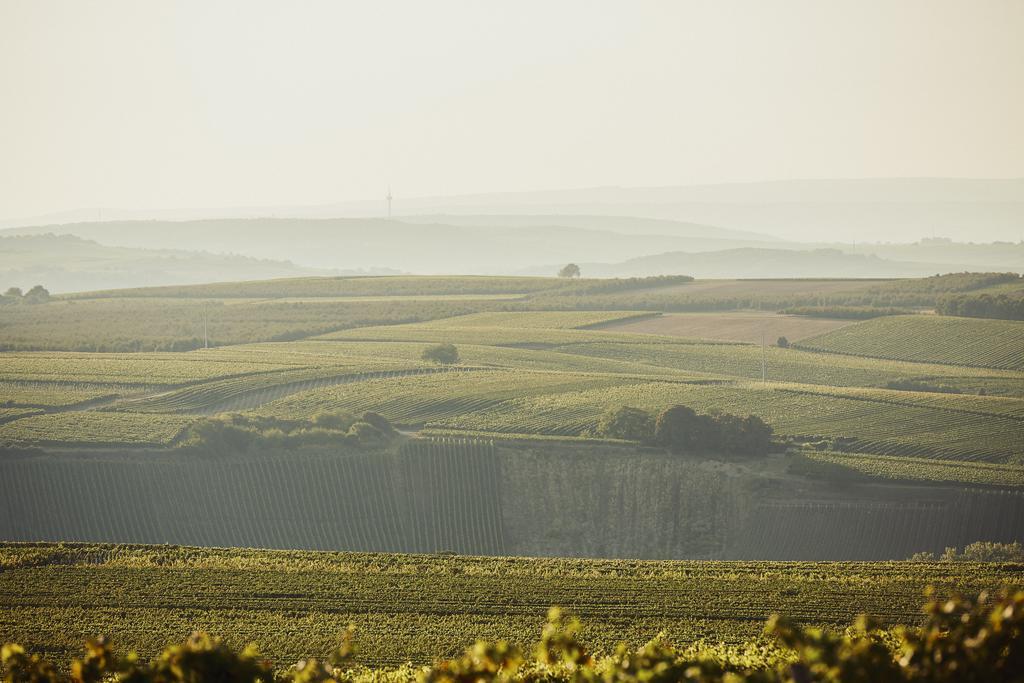 Meyerhof - Bioweingut, Vinothek & Gaestehaus 플론하임 외부 사진